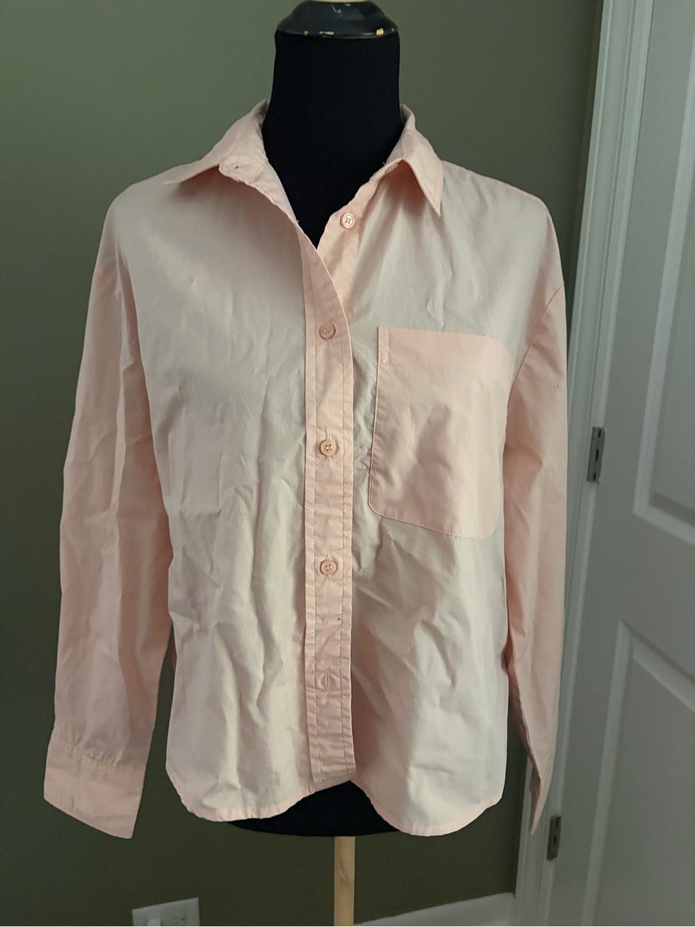 Quince Pale Pink Women's Button-Down Shirt